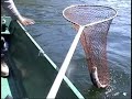 Pêche à la truite à la Zec de Chandler avec Félix et Jean-G Pêche à la truite à la Zec de Chandler avec Félix et Jean-G