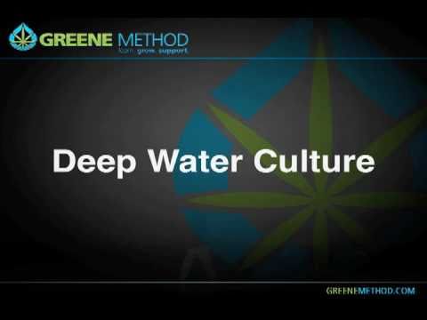 how to grow weed dvd