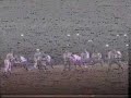 Weslaco Panthers Vs Donna Redskins 1991 Weslaco Panthers Vs Donna Redskins 1991