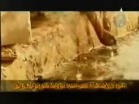 احلى كس