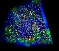 OpenGL+glut Demo