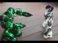 Femisapien meets Robosapien Femisapien meets Robosapien