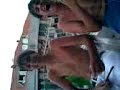 Visit Bellaria(Pubblicit� Progresso)