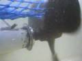 Rope cutter test by MBM