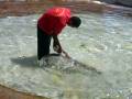 videos de PB300026.AVI