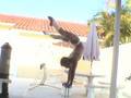 contortionist-equilibrist