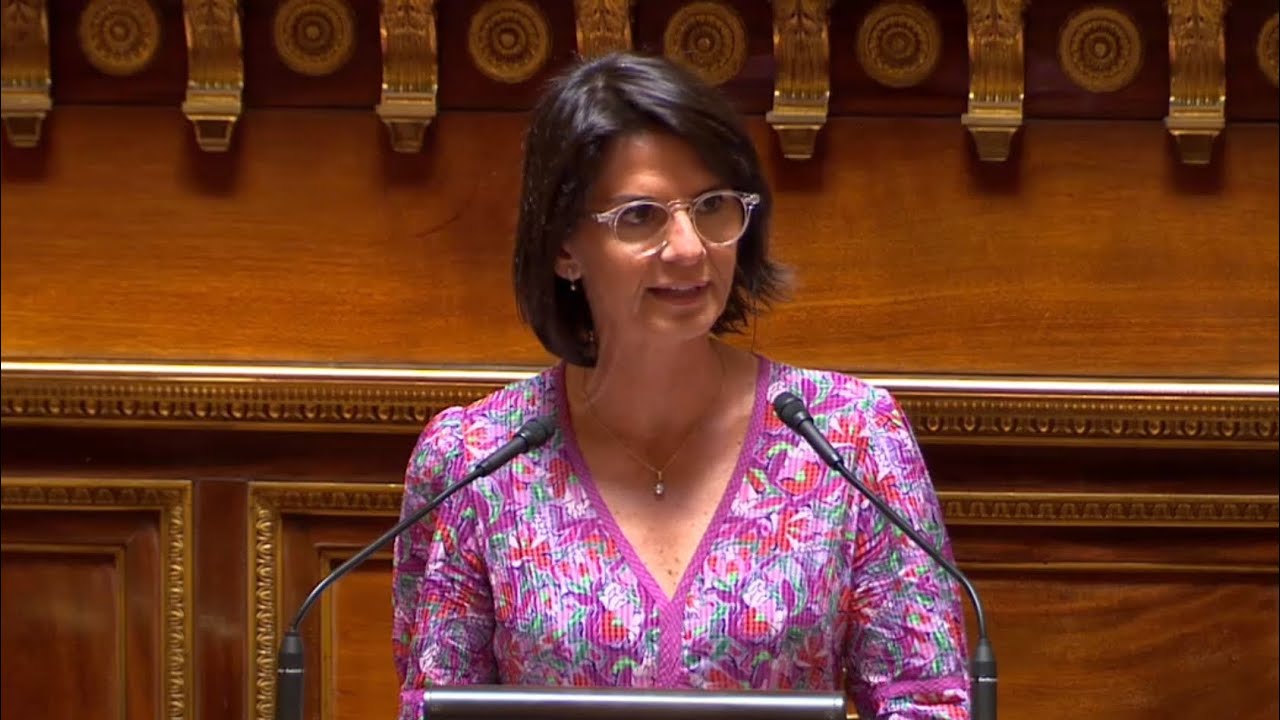 Anne VENTALON intervient dans la proposition de loi sur le mécénat culturel - 15 juin 2023