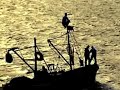Israel - The ancient port...