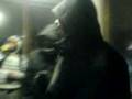 Hornsey & Highbury Freestyle