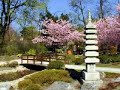 Yoshida Brothers - Nikata