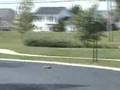 TRAXXAS NITRO 4-TEC 3.3