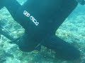 Pesca in apnea (1/2) Pesca in apnea (1/2)