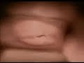 la-gestacion-un-milagro-dia-a-dia-2-de-6.html