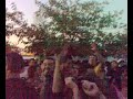 summerland07@tunner