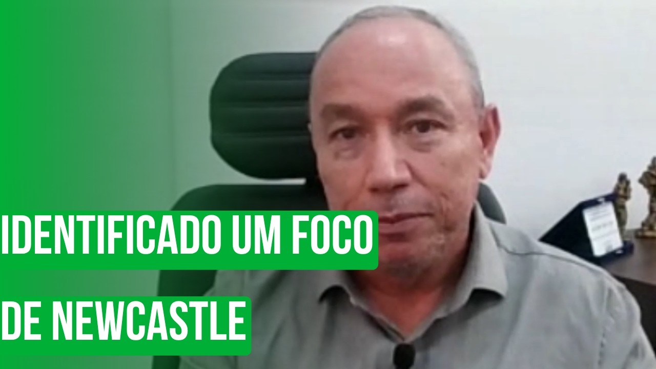 Identificado um foco de Newcastle
