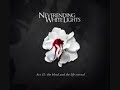 My Life Without Me - NEVERENDING WHITE LIGHTS