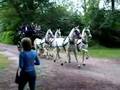 Horse Carriage