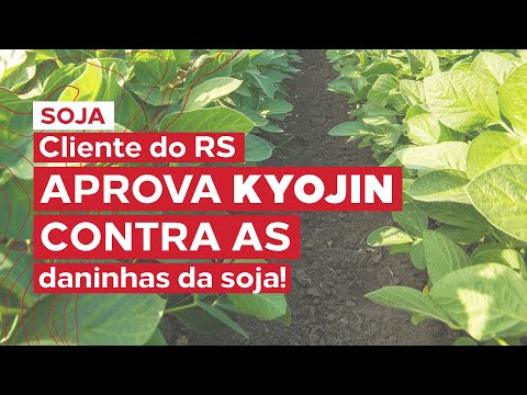 Cliente do RS comprova a eficácia de Kyojin contra as daninhas da soja!