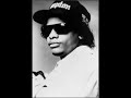 Non Fiction Words by Eazy-E