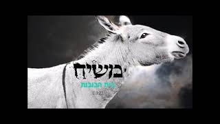 משיח