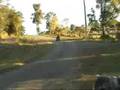 simmos billy cart