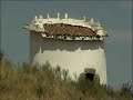 Rota da Terra Fria Transmontana (subtitles in English)