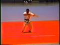 videos de Sensei Shian Toma 1993