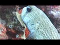 Bonaire 1