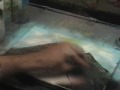 Spray Can Artists Joe "Colorado" Mountains.