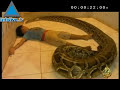 Un enfant cambodgien est le meilleur ami d\