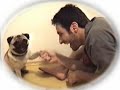 Meu cão Walmor Chagas e suas reflexões sobre a minha comédia Meu cão Walmor Chagas e suas reflexões sobre a minha comédia