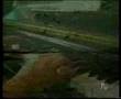 AL BORDE DE LA CONSCIENCIA - BORDEMAR