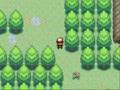 Hackrom Pokemon Sky Islands