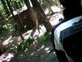 19-05-2012 | Paintball in Bruck/Leitha: FÜNF - YouTube
