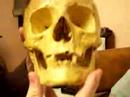 Karinaaaaaaaaa calaverica