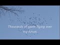 Thousands of Migratory Sandhill Cranes over Louisville