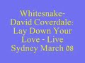 Whitesnake-David