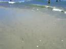 at the beach again. at the beach again.