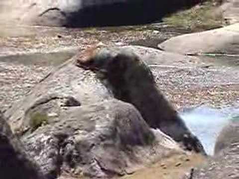 Marcahuasi
