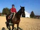 sOph et njOu sOph et njOu