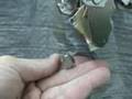 Magnet in copper tube