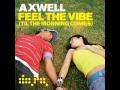 Axwell feel the vibe.wmv