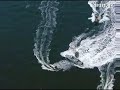 Greenpeace G8 Protest in Germany
