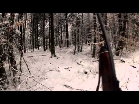 chasse - Désolé pour ma longue absence, quelques difficultés personnelles m'ont écartés quelques mois de mes créations