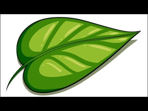 video-linktoworks-How to Draw a Leaf on Paint Tool Sai