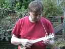 Electric mandolin Electric mandolin