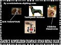 Ezikta? Ezikta?