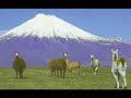 ¿QUE PAIS DE SUDAMERICA TE GUSTARIA VISITAR? BRAZIL ARGENTINA PERU ECUADOR CHILE BOLIVIA VENEZUELA COLOMBIA PARAGUAY URUGUAY telemundo univision tango chavez pinochet evo morales dictadura thalia fidel castro latinas latinos latinoamerica hispanos shakira inmigrantes usa eeuu mexico guatemala cuba canada surf sex sexo tour turismo ecologia ecoturismo dictadura petroleo montaña andes andino andina ronaldinho maradona argentina galapagos ecuatorial futbol voley mochilero visita santiago valparaiso arica buenos aires montevideo quito you tube onu turistico isla pascua rio janeiro