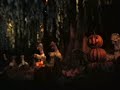 first part of Splash Mountain