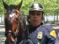 Hoboken Mounted Police